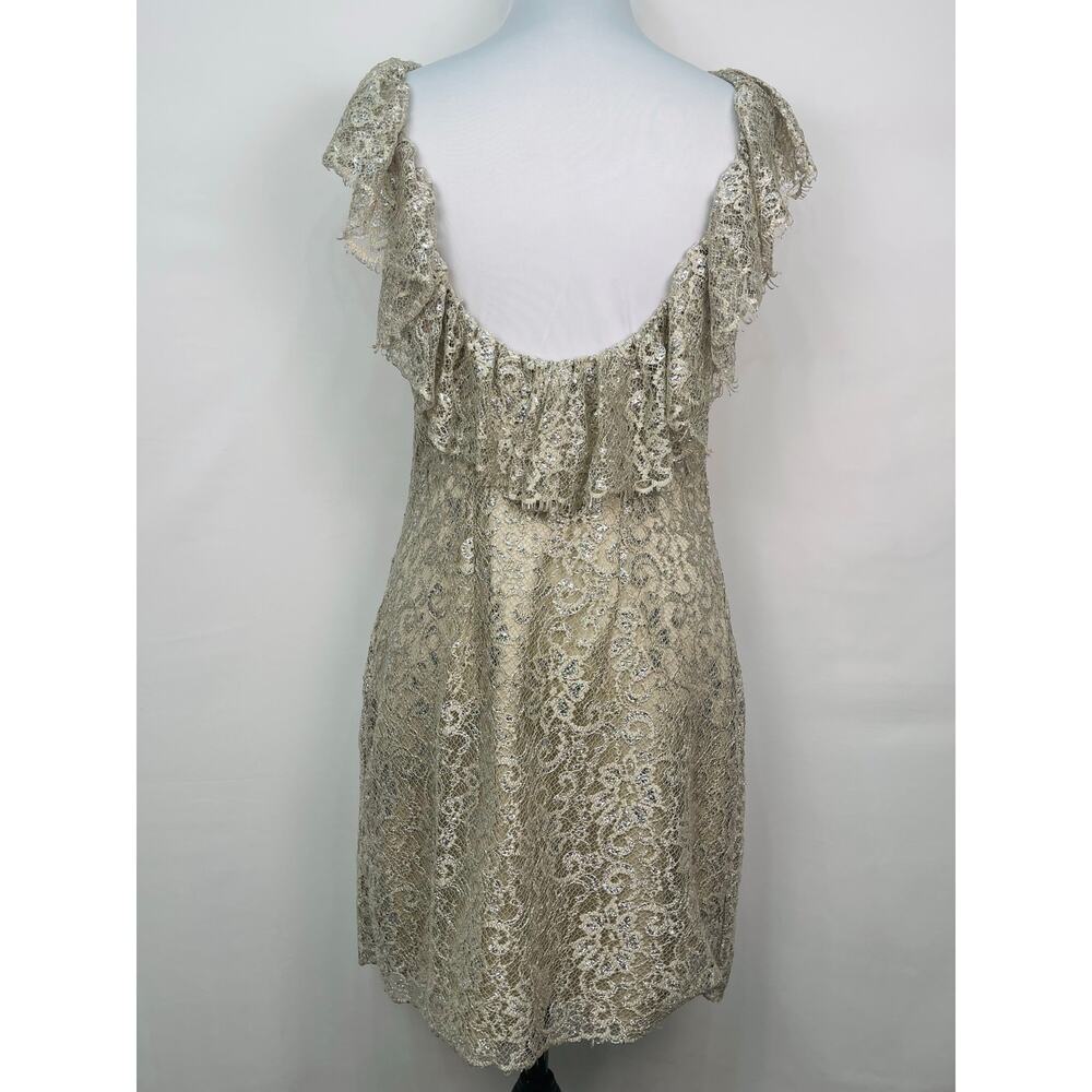 Free People Beige Silver Metallic Lace Mini Shift Dress Sleeves Size Small - Picture 4 of 13